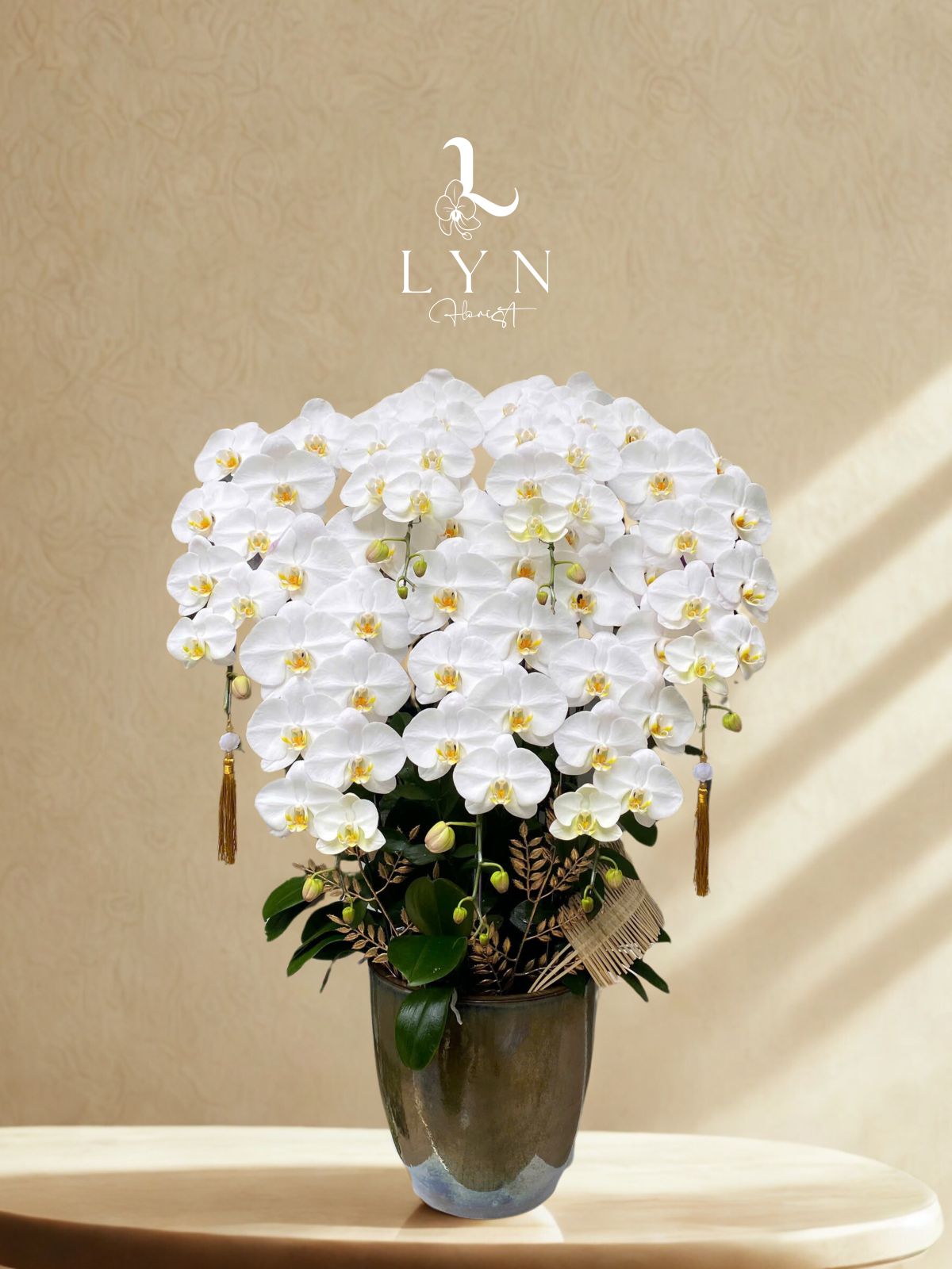 Chậu Hoa Lan Trắng V3-1V_7 cành